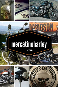 600x900mercatinoharley.com