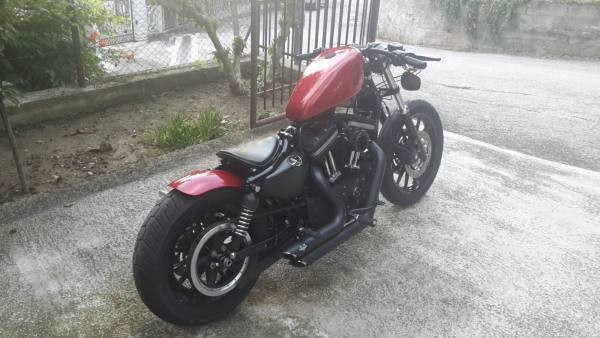Harley 883 bobber